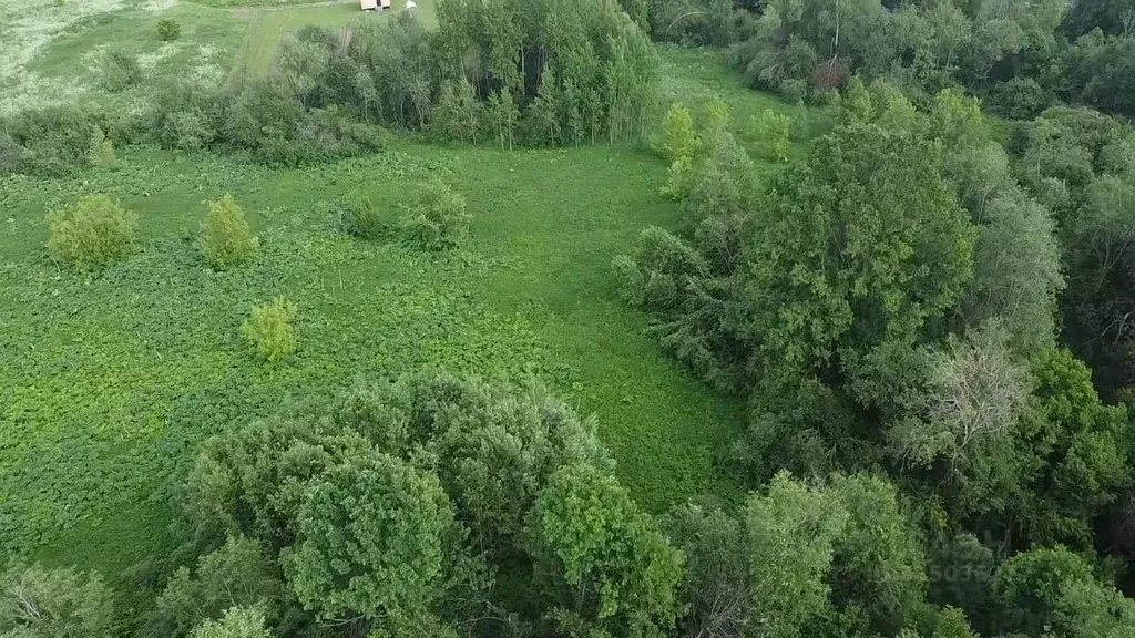 Участок в Московская область, Волоколамский муниципальный округ, д. ... - Фото 0
