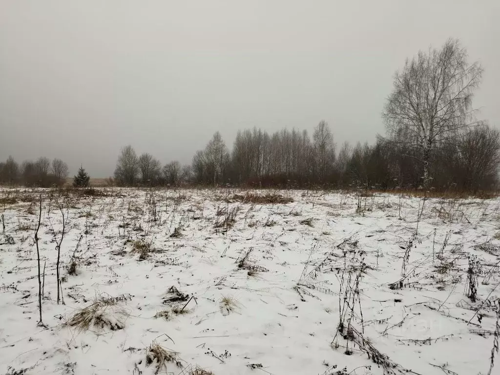 Участок в Вологодская область, Вологда Сиреневая ул. (12.8 сот.) - Фото 2