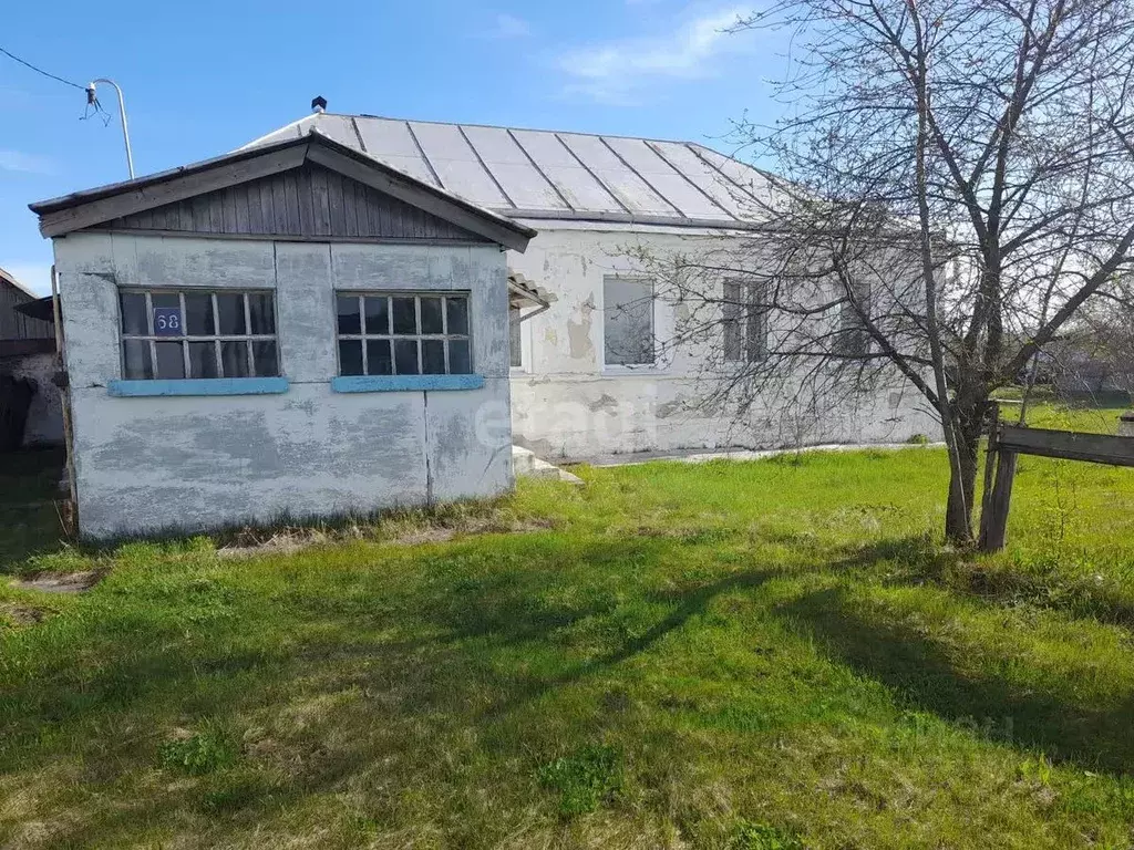 Дом в Воронежская область, Рамонский район, Березовское с/пос, с. ... - Фото 1