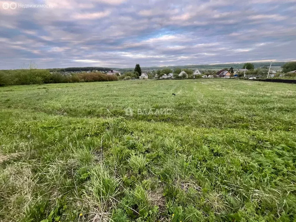 Участок в Пензенский район, Богословский сельсовет, село Малая ... - Фото 1