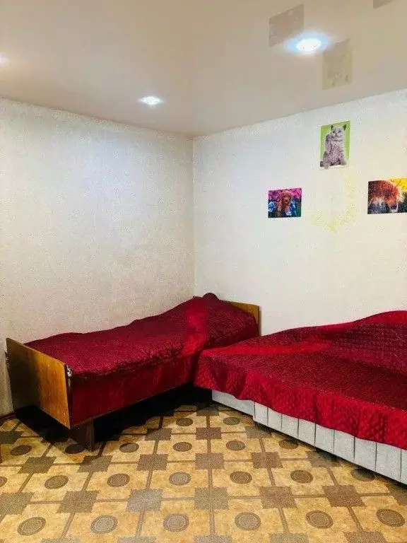 2-к кв. Амурская область, Свободный ул. 50 лет Октября, 15 (46.0 м) - Фото 1