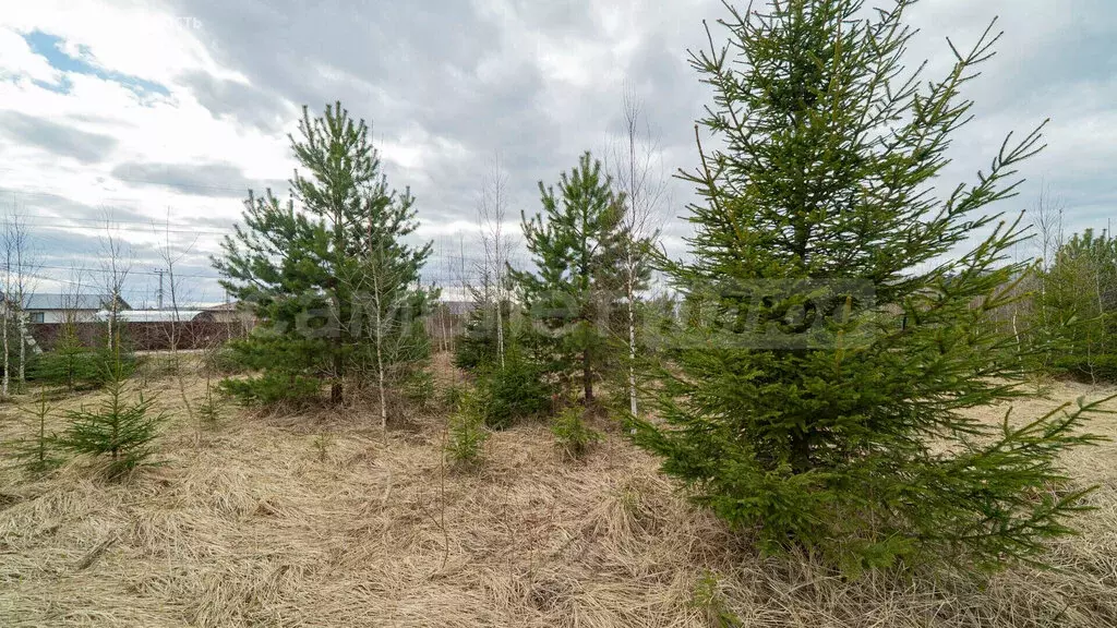 Участок в Наро-Фоминский городской округ, дачный посёлок Парус, ... - Фото 2