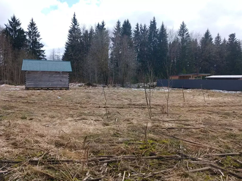 Участок в Ленинградская область, Волосово Комсомольская ул., 68 (11.0 ... - Фото 1