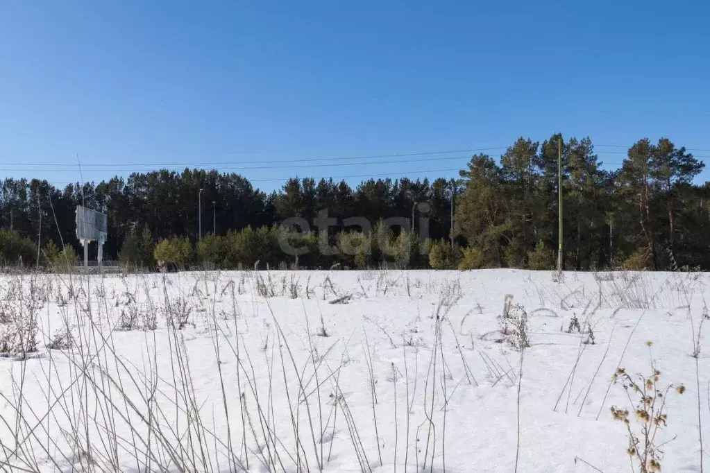 Участок в Тюменская область, Тюменский муниципальный округ, с. Борки  ... - Фото 1