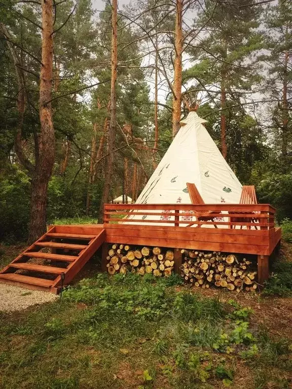 Дом в Самарская область, Шигонский район, Муранка с/пос, Муранский Бор ... - Фото 1