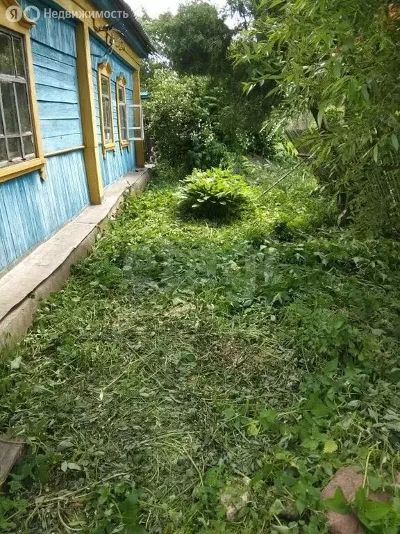 Дом в село Никольское, Прохладная улица (48.9 м) - Фото 1