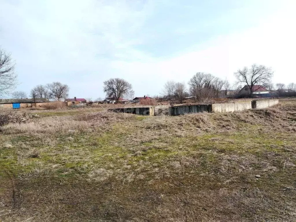 Участок в Белгородская область, Чернянский район, Ездоченское с/пос, ... - Фото 2