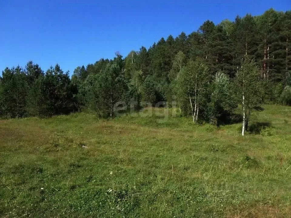 Участок в Алтай, Турочакский район, с. Старый Кебезень Совхозная ул. ... - Фото 1