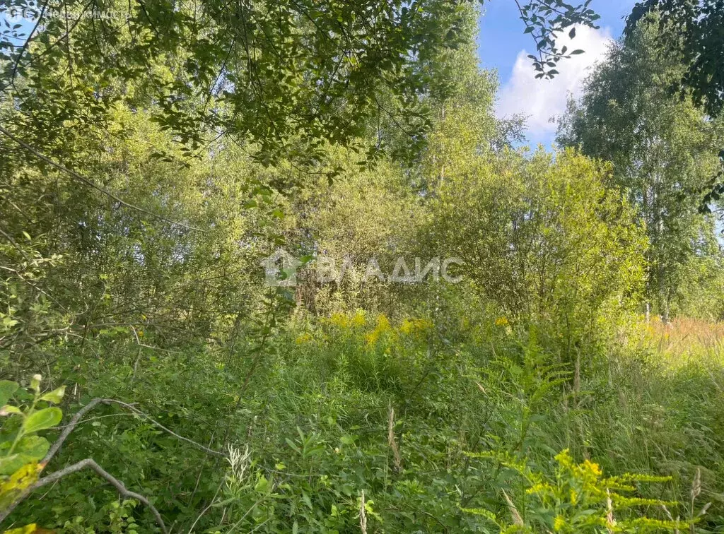 Участок в Нижегородская область, Богородский муниципальный округ, ... - Фото 1