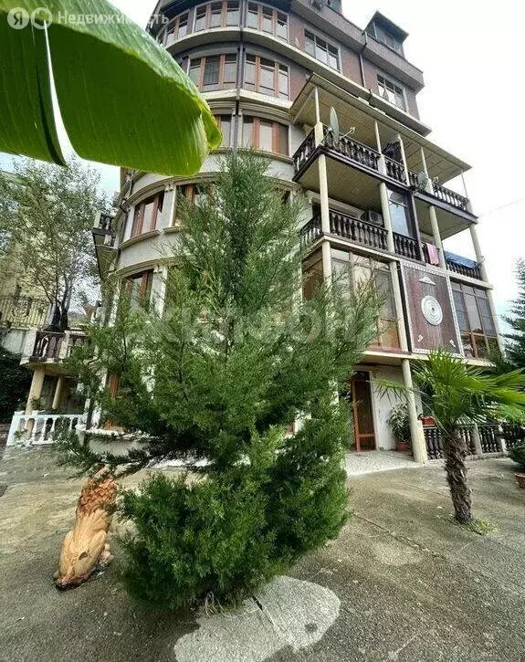 1-комнатная квартира: Сочи, Новороссийское шоссе, 11 (24 м) - Фото 1