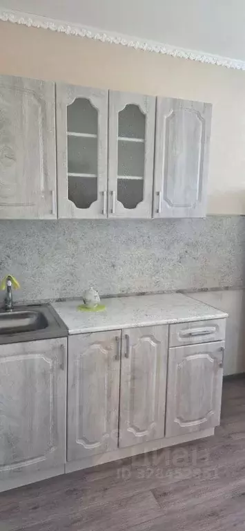 1-к кв. Алтайский край, Барнаул ул. Ляпидевского, 1/1 (25.8 м) - Фото 1