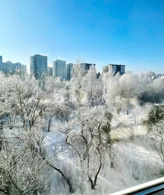 3-к кв. Калининградская область, Калининград Старокаменная ул., 3А ... - Фото 2