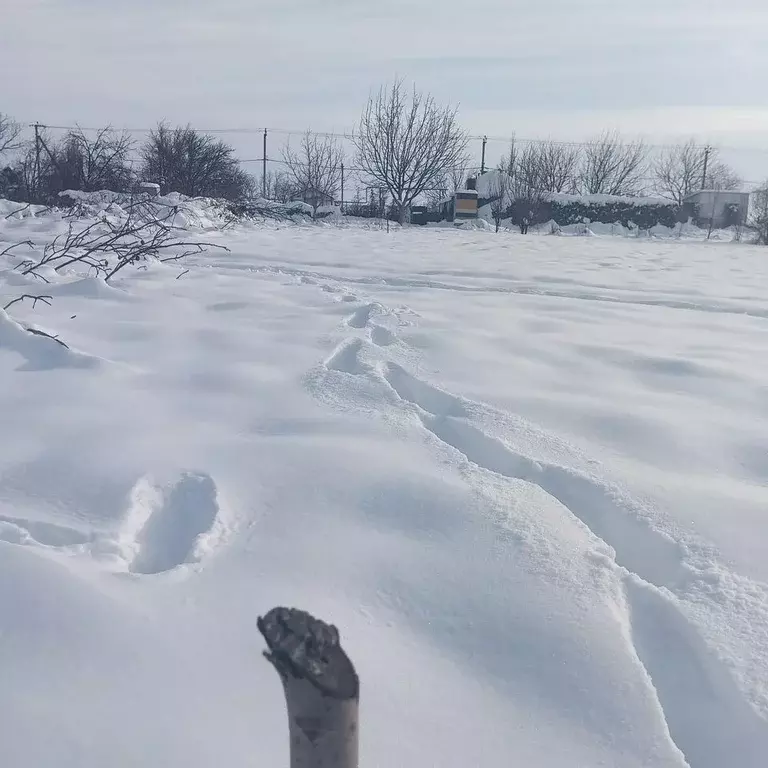 Участок в Краснодарский край, Тимашевский район, Медведовское с/пос, ... - Фото 2