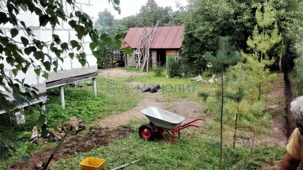 Участок в Нижегородская область, Павловский район, д. Кишкино Нагорная ... - Фото 2
