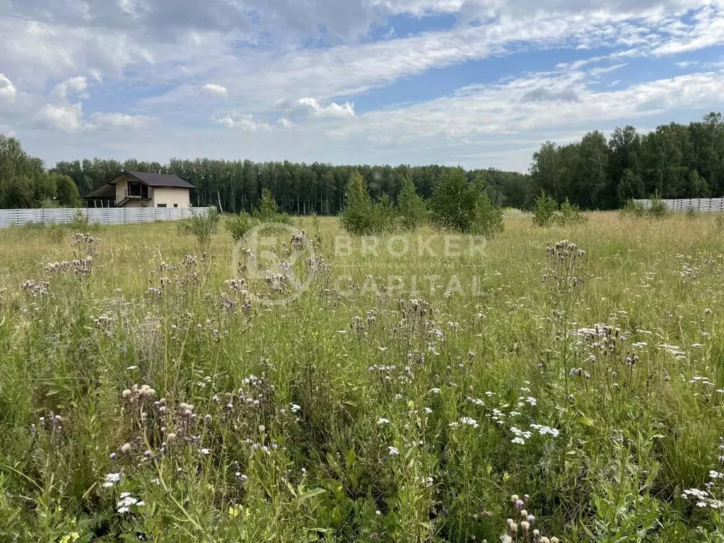 Участок в Новосибирская область, Новосибирский район, Станционный ... - Фото 1