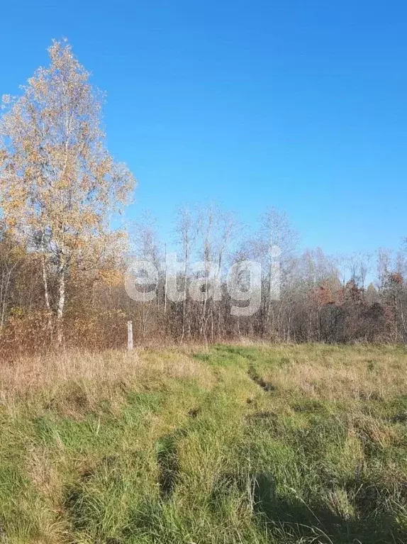 Участок в Новгородская область, Батецкий муниципальный округ, д. ... - Фото 0