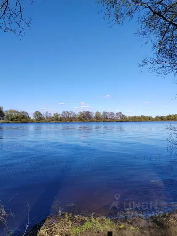 Участок в Новгородская область, Новгородский район, Бронницкое с/пос, ... - Фото 0