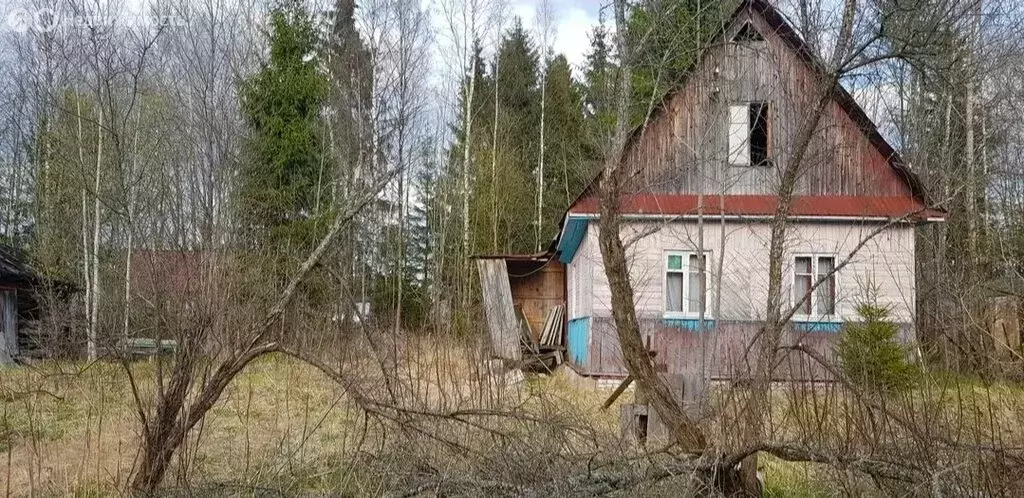 Участок в Кисельнинское сельское поселение, садоводческий массив ... - Фото 1