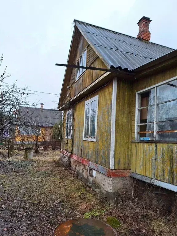 Участок в Ленинградская область, Кировский район, Синявинское ... - Фото 2