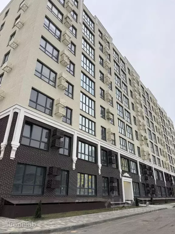 1-к кв. Волгоградская область, Волгоград бул. 30-летия Победы, 19В ... - Фото 1