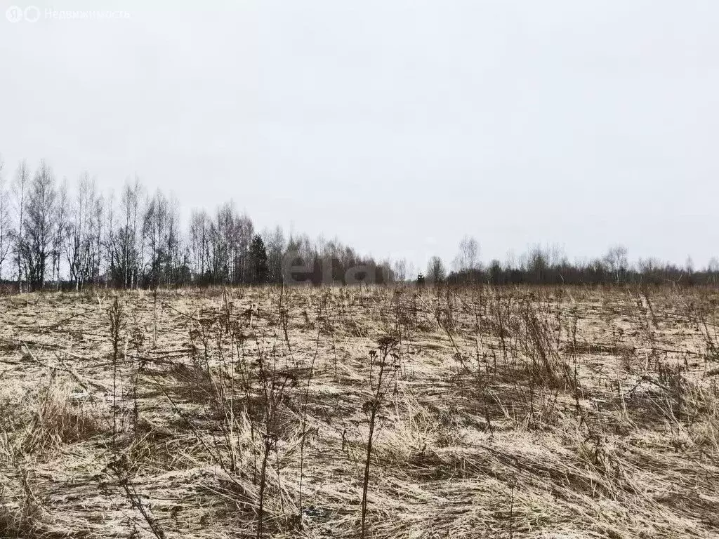 Участок в Тверская область, Кимрский муниципальный округ, деревня ... - Фото 0