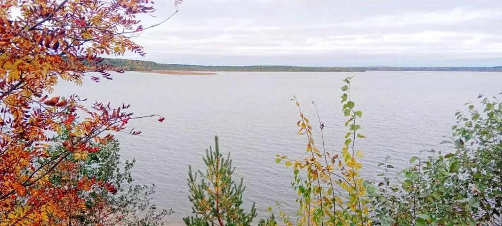 Участок в Ленинградская область, Всеволожский район, Токсовское ... - Фото 1