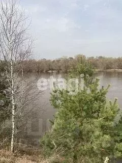 Участок в Калужская область, Дзержинский район, с. Дворцы ул. Луговая ... - Фото 0