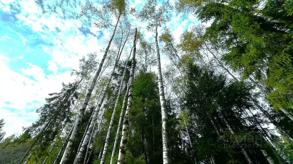 Участок в Ленинградская область, Всеволожский район, Сертоловское ... - Фото 0