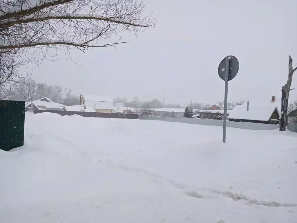 Участок в Московская область, Воскресенск городской округ, с. ... - Фото 2