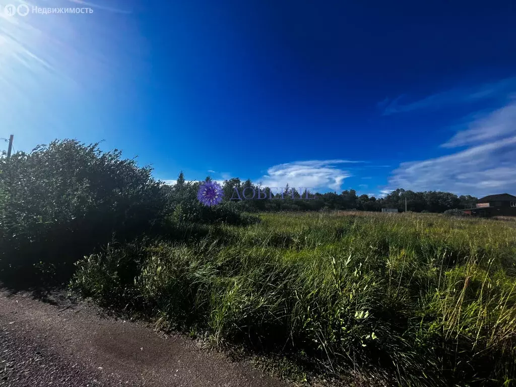 Участок в Ивангород, улица Комсомола (10 м) - Фото 2