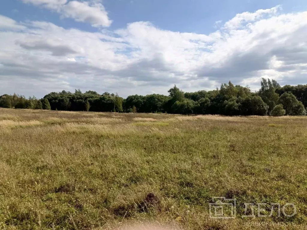 Участок в Рязанская область, Рыбновский муниципальный округ, пос. ... - Фото 2