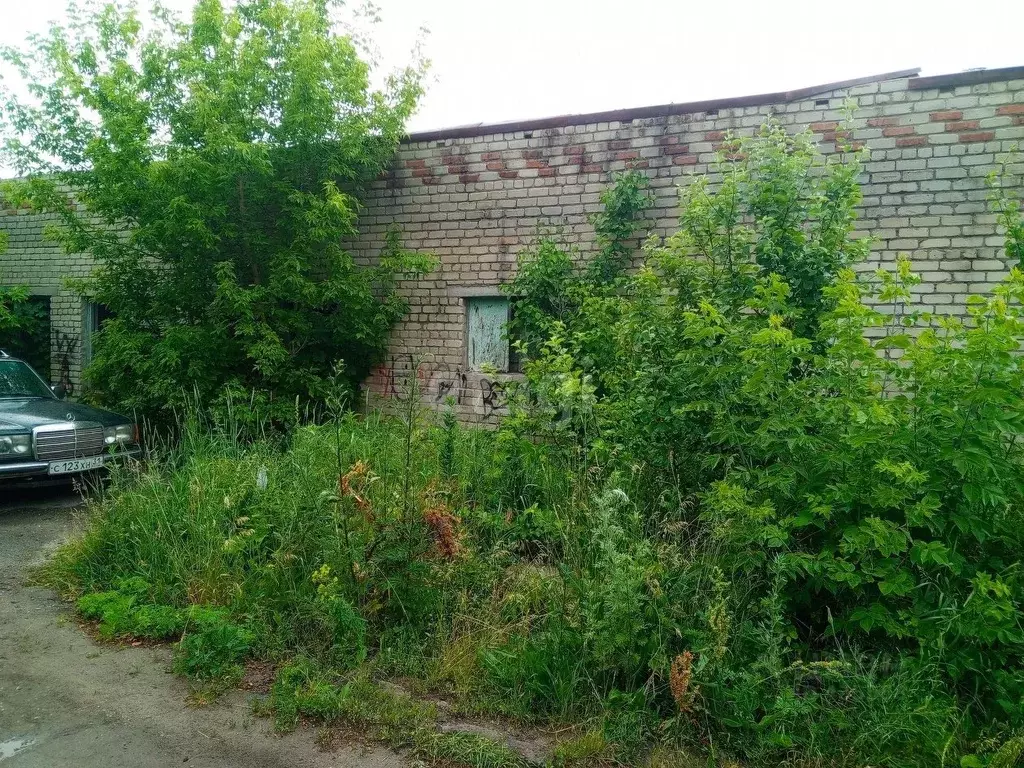 Торговая площадь в Белгородская область, Валуйки ул. Калинина, 39А ... - Фото 1