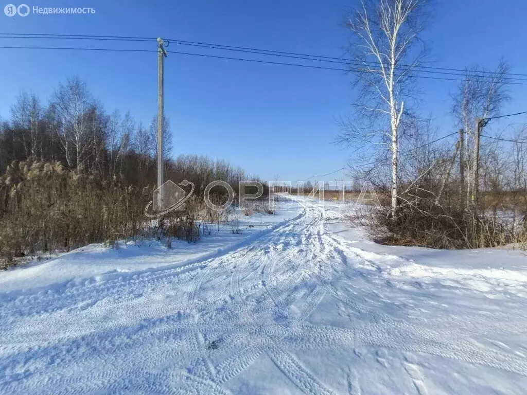 Участок в Тюменский район, село Борки (5.77 м) - Фото 0