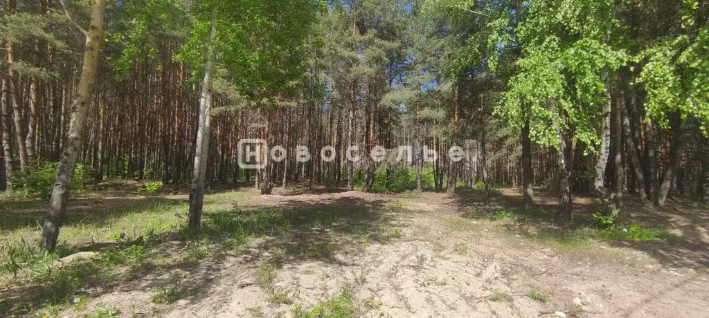 Участок в Рязанская область, Рязань Солотча р-н,  (16.5 сот.) - Фото 2