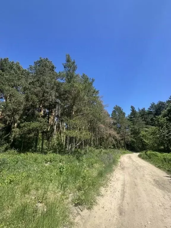 Участок в Пензенская область, Пенза Связист садовое дачное ... - Фото 0