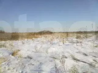 Участок в Тюменская область, Тюмень  (11.66 сот.) - Фото 1