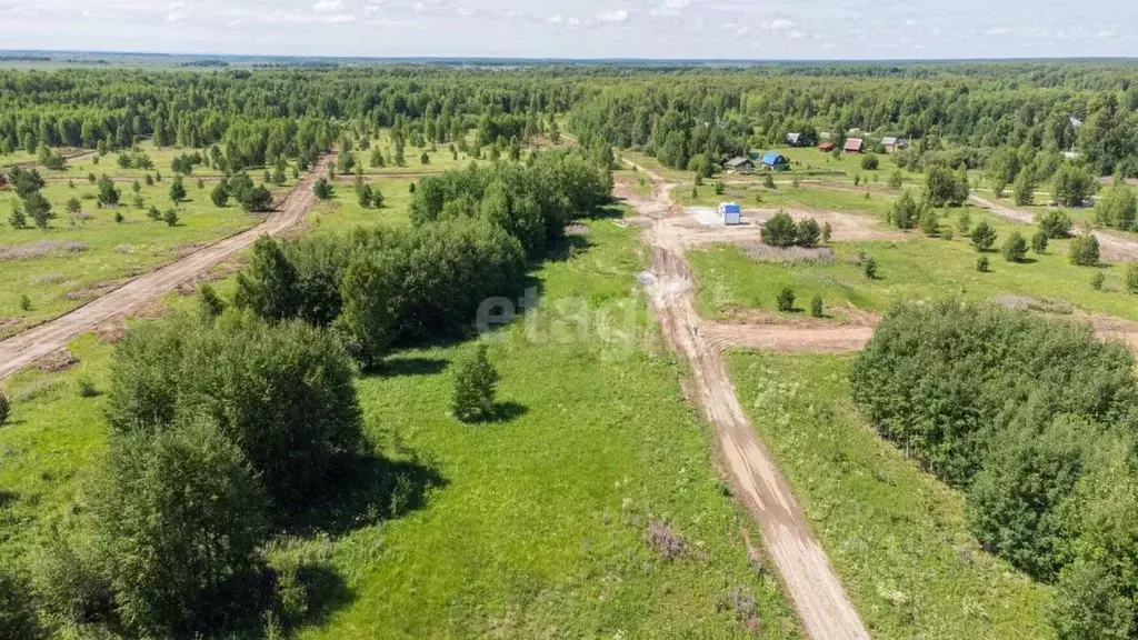 Участок в Тюменская область, Нижнетавдинский район, Лесная сказка СНТ  ... - Фото 1