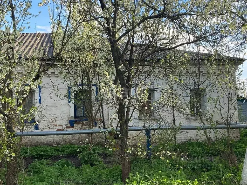 Студия Белгородская область, Ракитянский район, Пролетарский городское ... - Фото 0