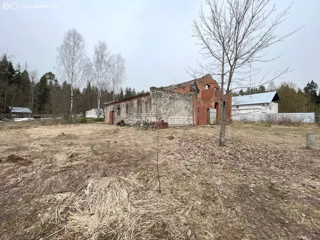 Участок в Московская область, городской округ Пушкинский, деревня ... - Фото 2