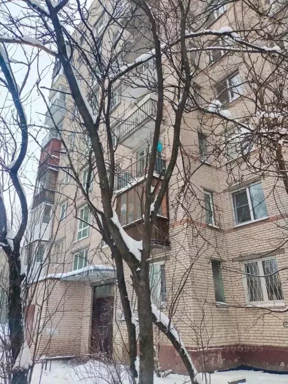 3-к кв. Санкт-Петербург просп. Космонавтов, 64 (58.3 м) - Фото 1