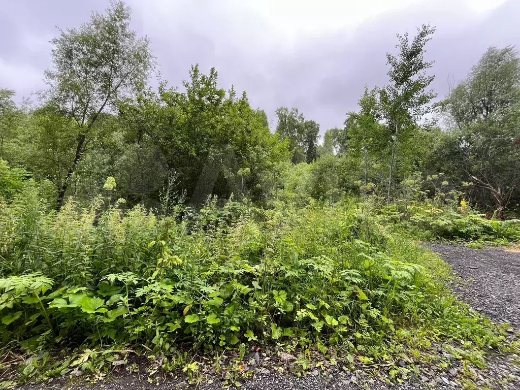 Участок 10,2 сот. (СНТ, ДНП) - Фото 0