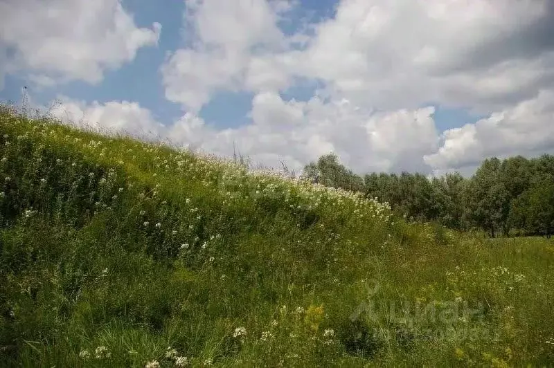 Участок в Курская область, Курский район, Лебяженский сельсовет, д. ... - Фото 0