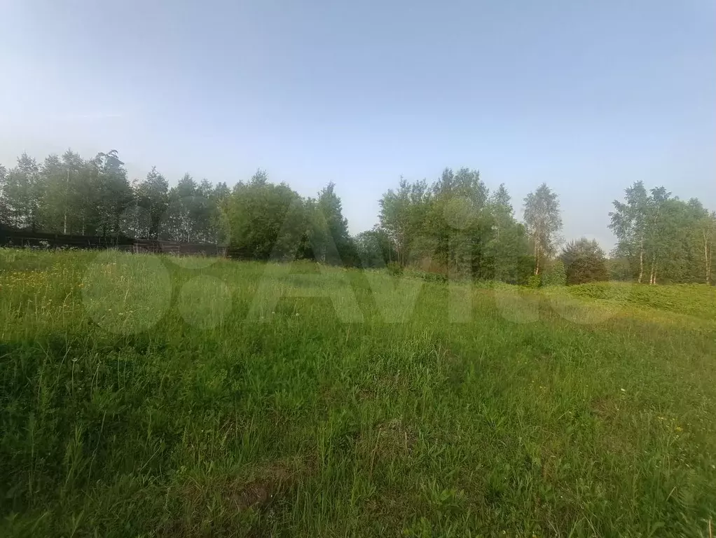 Участок 12,5 сот. (ИЖС) - Фото 0