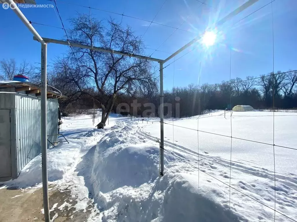 Участок в Оренбург, СНТ Маслобоец (7.5 м) - Фото 1