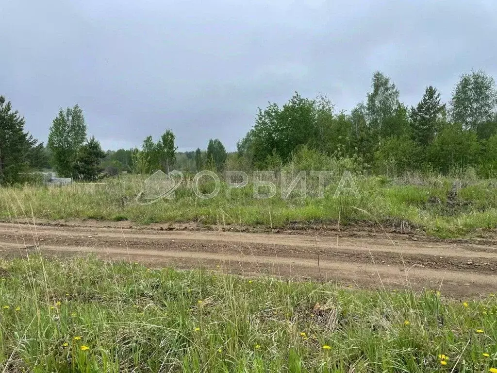 Участок в Тюменская область, Нижнетавдинский район, с. Тюнево  (17.02 ... - Фото 1