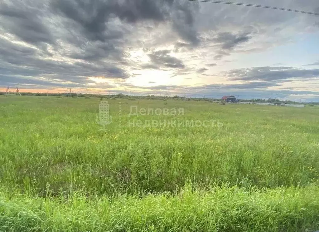 Участок в Новгородская область, Шимск рп Р-56, 49-й км (15.0 сот.) - Фото 1