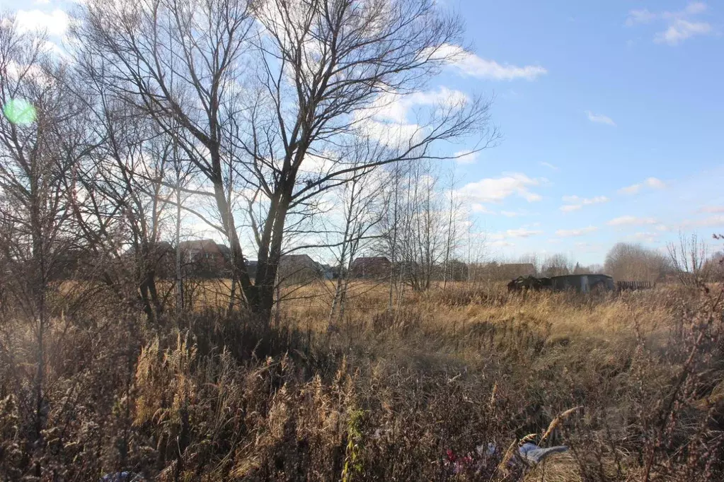 Участок в Москва д. Кузнецово, ул. Березовая, 69 (10.06 сот.) - Фото 2