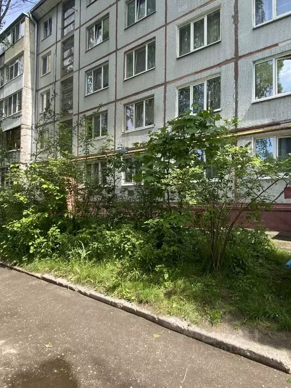 3-к кв. Брянская область, Брянск Киевская ул., 44 (63.3 м) - Фото 2