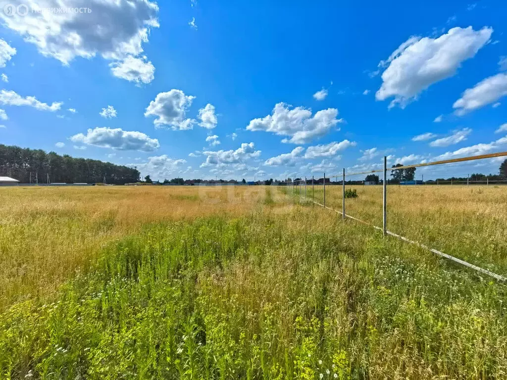 Участок в Омский район, село Усть-Заостровка (10.44 м) - Фото 1