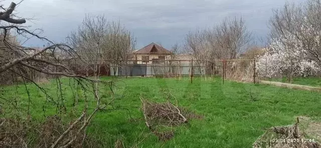 Участок 8 сот. (ИЖС) - Фото 0